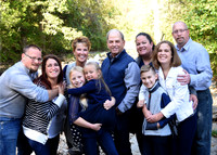 Merle family 2020